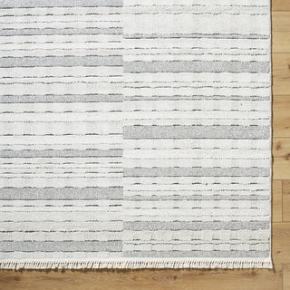 Livabliss Berlin BLR-2314 Ivory Area Rug Detail Image