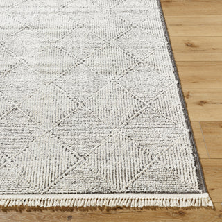 Livabliss Berlin BLR-2315 Ivory Area Rug