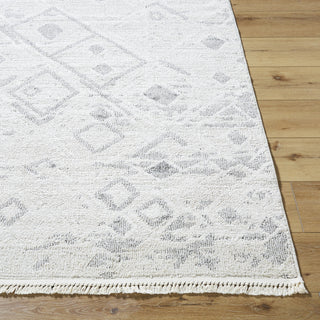 Livabliss Berlin BLR-2316 Area Rug by Surya Angle
