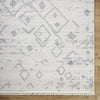Livabliss Berlin BLR-2316 Area Rug by Surya Detail