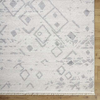Livabliss Berlin BLR-2316 Area Rug by Surya Detail