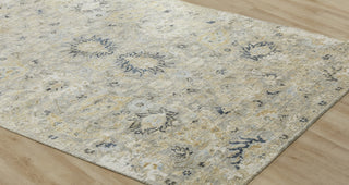 Ancient Boundaries Eden EDE-1376 Grey Area Rug Closeup Image