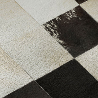 Dalyn Bozeman BM10 Black Machine Washable Area Rug Swatch Image