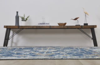 Ancient Boundaries Eden EDE-1375 Blue Area Rug Alternative Image