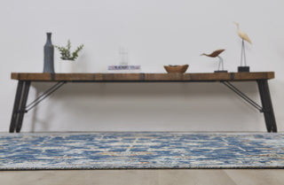 Ancient Boundaries Eden EDE-1375 Blue Area Rug Alternative Image