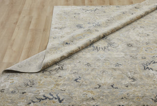 Ancient Boundaries Eden EDE-1376 Grey Area Rug Alternative Image