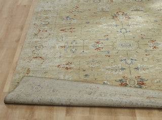 Ancient Boundaries Eden EDE-1380 Area Rug Closeup Image