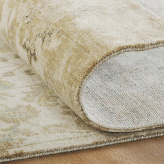 Ancient Boundaries Eden EDE-1382 Area Rug Alternative Image