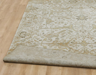 Ancient Boundaries Eden EDE-1382 Area Rug Closeup Image