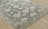 Ancient Boundaries Eden EDE-1384 Area Rug Floor Image