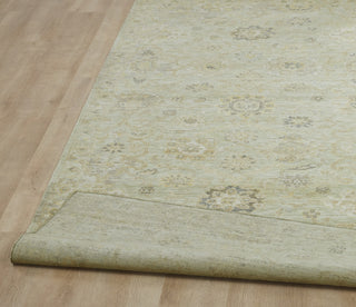 Ancient Boundaries Eden EDE-1385 Area Rug Closeup Image