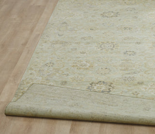 Ancient Boundaries Eden EDE-1385 Area Rug Closeup Image