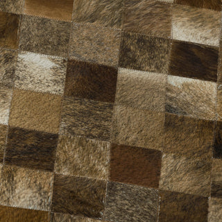 Dalyn Bozeman BM2 Brown Machine Washable Area Rug Swatch Image