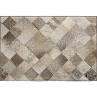 Dalyn Bozeman BM2 Gray Machine Washable Area Rug Scatter Main Image