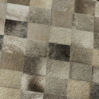 Dalyn Bozeman BM2 Gray Machine Washable Area Rug Swatch Image