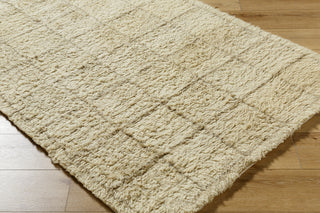 Livabliss Beni Moroccan BMC-2305 Natural Area Rug