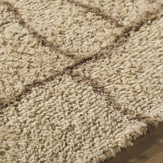 Livabliss Beni Moroccan BMC-2309 Area Rug Detail