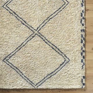 Livabliss Beni Moroccan BMC-2311 Area Rug Detail Image
