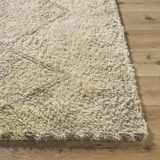 Livabliss Beni Moroccan BMC-2312 Area Rug Angle