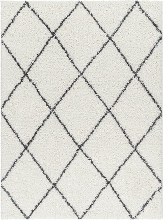 Livabliss Birmingham BMM-2318 Area Rug