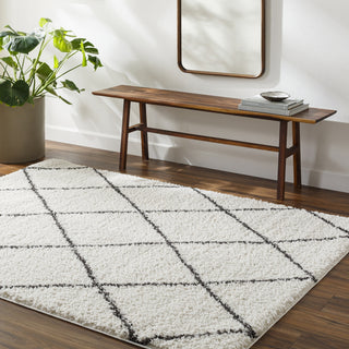 Livabliss Birmingham BMM-2318 Area Rug