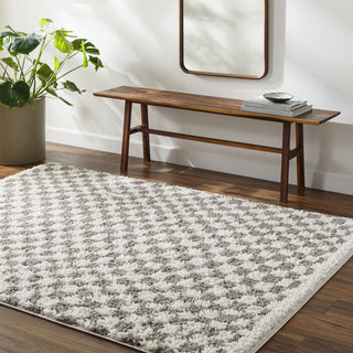 Livabliss Birmingham BMM-2321 Area Rug