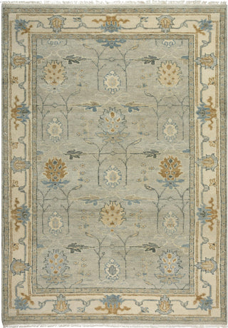 Rizzy Belmont BMT959 Beige Area Rug