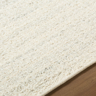 Livabliss Bern BNB-2300 Area Rug Detail