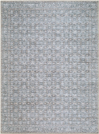 Becki Owens x Livabliss Aureta BOAU-2301 Machine Washable Area Rug Main
