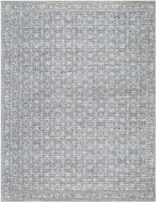 Becki Owens x Livabliss Aureta BOAU-2301 Machine Washable Area Rug Main