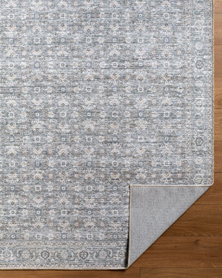 Becki Owens x Livabliss Aureta BOAU-2301 Machine Washable Area Rug Pile