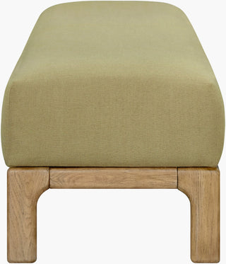 Becki Owens X Surya Bradly BOBD-002 Olive / Brown Furniture Main Image