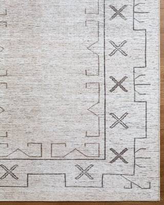Becki Owens x Livabliss Casita BOCS-2301 Machine Washable Area Rug Overhead Image