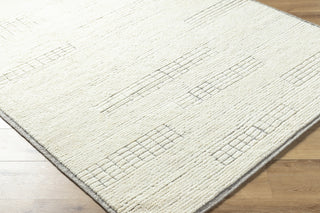 Surya Davey BODV-2300 Light Beige Area Rug by Becki Owens