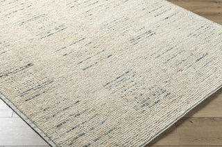 Surya Davey BODV-2302 Desert Tan Area Rug by Becki Owens