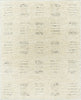 Surya Davey BODV-2302 Desert Tan Area Rug by Becki Owens