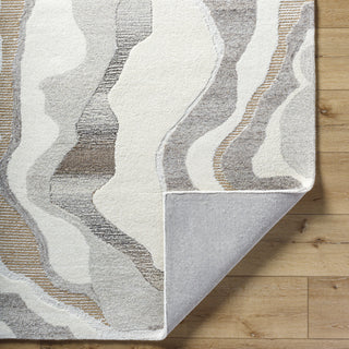 Surya Buenos Aires BOE-2301 Area Rug Pile