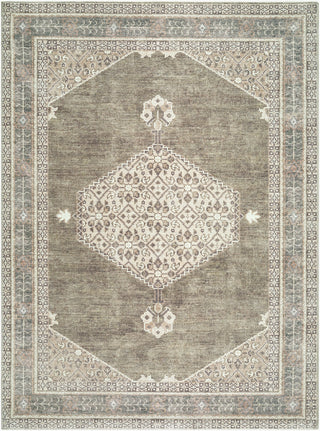 Becki Owens X Livabliss Lila BOLC-2304 Taupe Area Rug main image