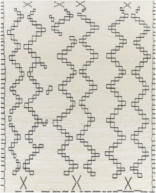 Surya Beni Ourain BON-2301 Area Rug Main