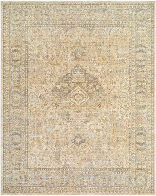 Becki Owens X Surya Renaissance BORI-2300 Light Beige Area Rug Main