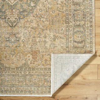 Becki Owens X Surya Renaissance BORI-2300 Light Beige Area Rug Pile