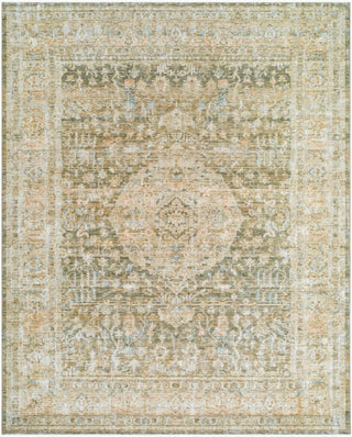 Becki Owens X Surya Renaissance BORI-2302 Taupe Area Rug Main