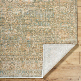 Becki Owens X Surya Renaissance BORI-2302 Taupe Area Rug Pile