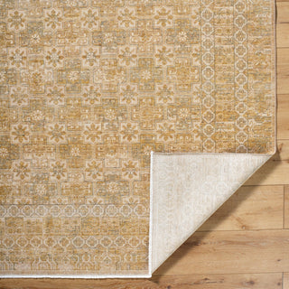 Becki Owens X Surya Renaissance BORI-2303 Light Beige Area Rug Pile