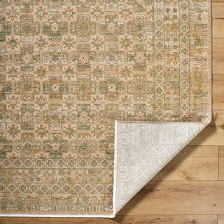Becki Owens X Surya Renaissance BORI-2304 Light Beige Area Rug Pile