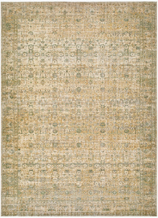 Becki Owens X Surya Renaissance BORI-2306 Light Beige Area Rug Main