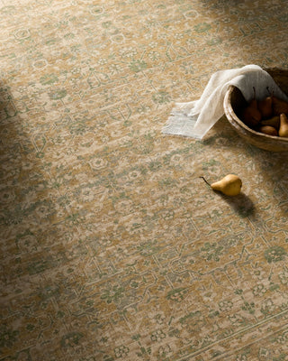 Becki Owens X Surya Renaissance BORI-2306 Light Beige Area Rug Style Shot