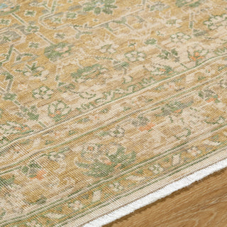 Becki Owens X Surya Renaissance BORI-2306 Light Beige Area Rug Detail