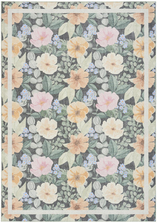 Nourison Botanical Washables BOT01 Charcoal Multicolor Area Rug main image