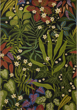 Loloi Botanical BOT-06 Onyx / Multi Area Rug main image